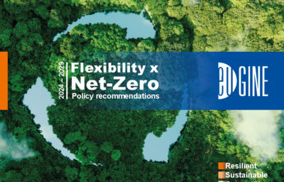 Flexibility x Net-Zero: EUGINE Policy Recommendations 2024 – 2029